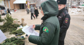 Незаконных фактов продажи новогодних елок в Удмуртии не установлено