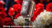 В Глазове пройдет вечер караоке военных песен (6+)