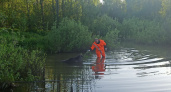 Лосенок застрял в пруду в Удмуртии