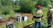 Лесовоз упал с моста в ручей в Удмуртии