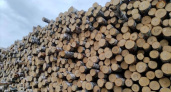 Удмуртия активно поставляет лес в Казахстан