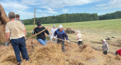 В Глазовском районе продолжается кормозаготовка