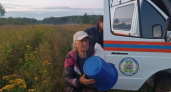 В Глазовском районе спасатели нашли заблудившуюся женщину