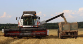 В Удмуртии завершается уборочная кампания зерновых и зернобобовых культур