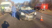 На трассе в Удмуртии произошло ДТП с лосем