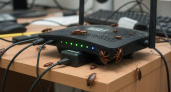 Тараканы покинули дома не от Wi-Fi. Учёные узнали истинные причины и забеспокоились
