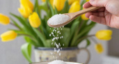 Всего 1 ложку в вазу, и букет цветов живет целый месяц - есть на любой кухне