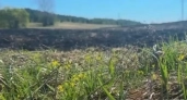 Пенсионер из Удмуртии едва не спалил деревню, опаливая курицу