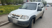 В Глазове нетрезвый водитель «Нивы Шевроле» сбил 19-летнюю девушку на «зебре»