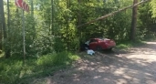 В Удмуртии ДТП на трассе Югдон—Воложка унесло жизнь водителя