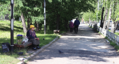 Удмуртию ждет комфортное тепло: синоптики дали прогноз погоды на 17 июня