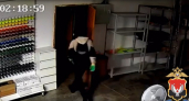 В Удмуртии полицейские задержали братьев, похитивших сейф