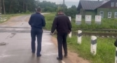 В Удмуртии грузовой поезд насмерть сбил 40-летнего мужчину