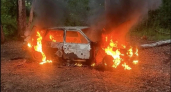 С начала года в Удмуртии сгорело около ста автомобилей, один человек погиб