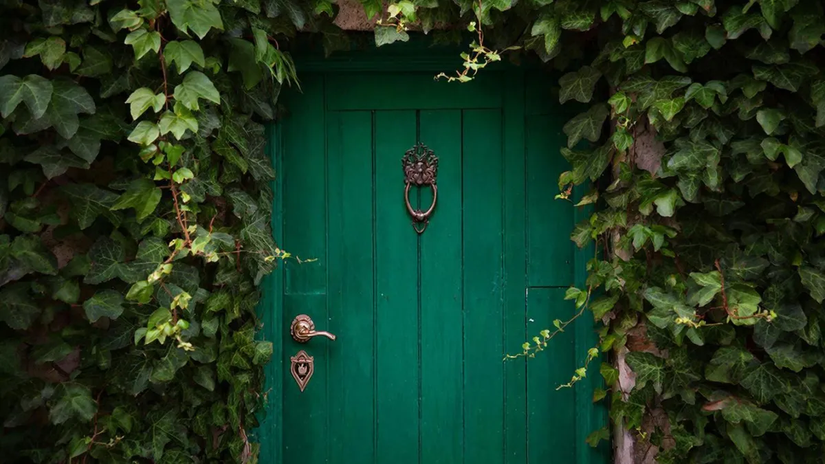 Летний кошмар дачника: как навсегда победить запах из туалета с выгребной ямой