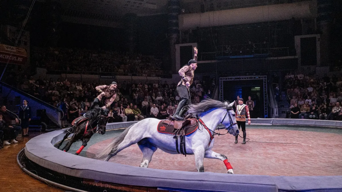 Государственный цирк Удмуртии получит 41 миллион на развитие