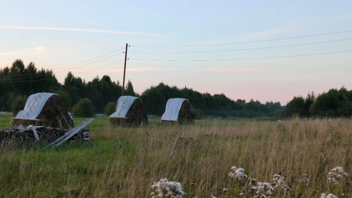 Аграрии Удмуртии отчитались за 2025 год