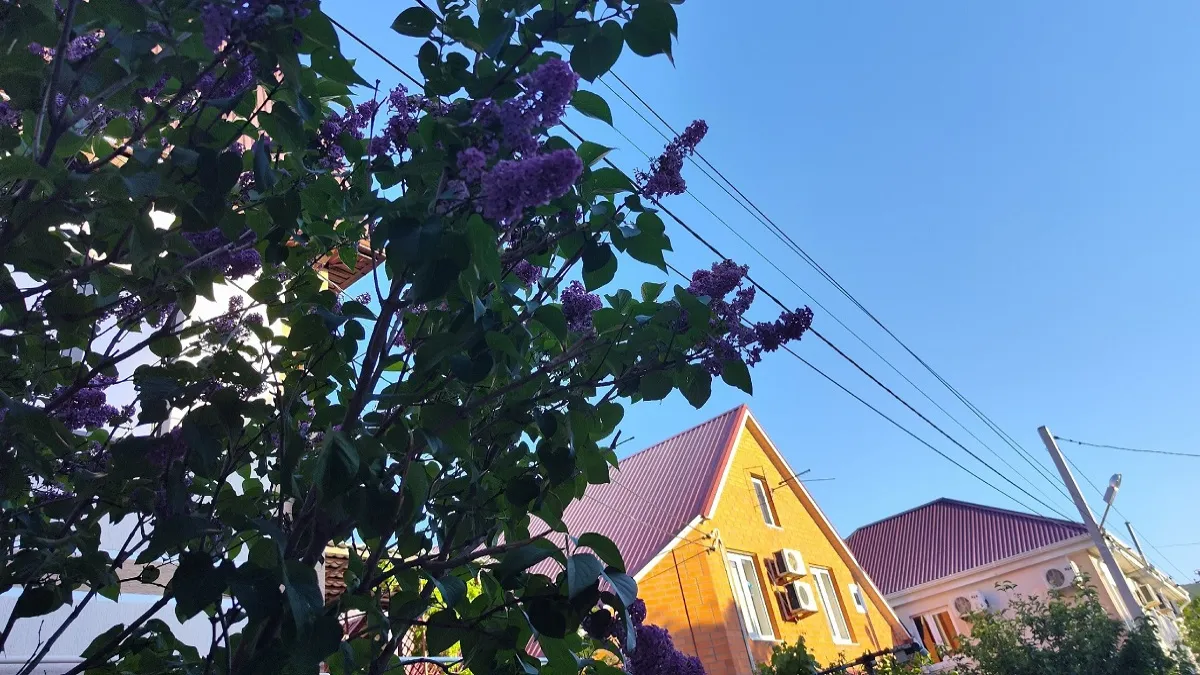 Вильфанд назвал точные даты: когда в регионы России придет настоящая весна и тепло