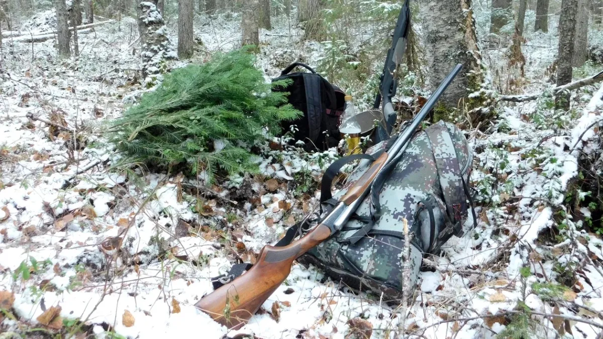 В Удмуртии стартует прием заявлений на весеннюю охоту