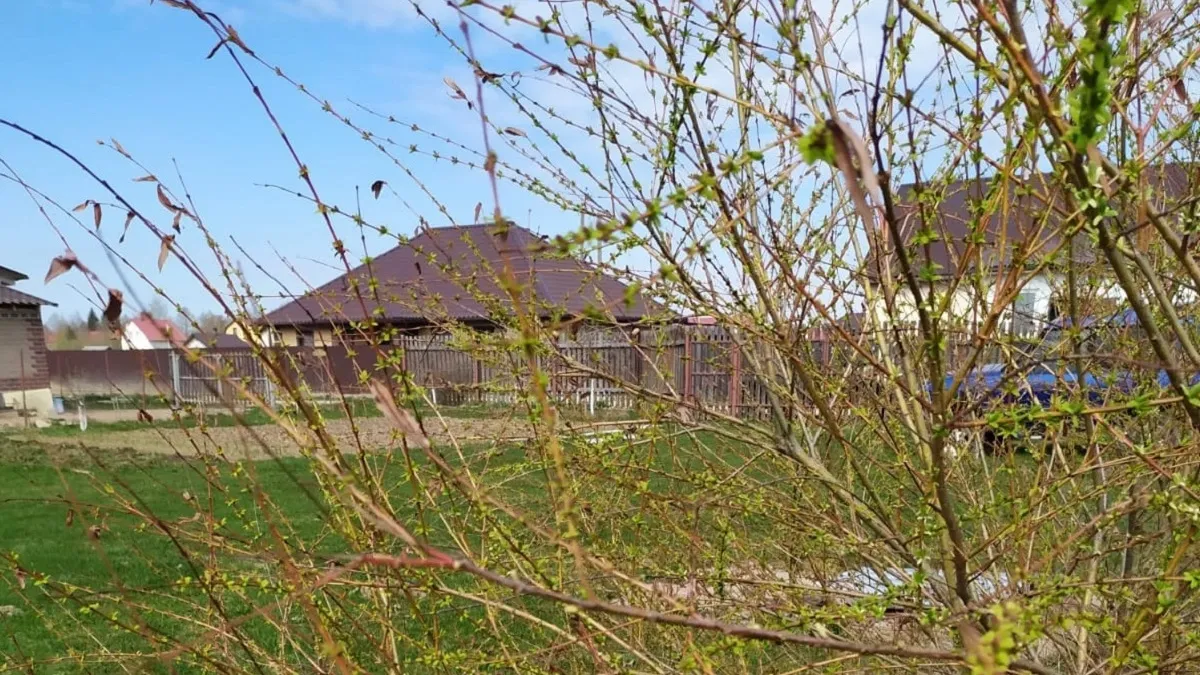 Синоптики раскрыли, когда весной придет тепло до +20 градусов