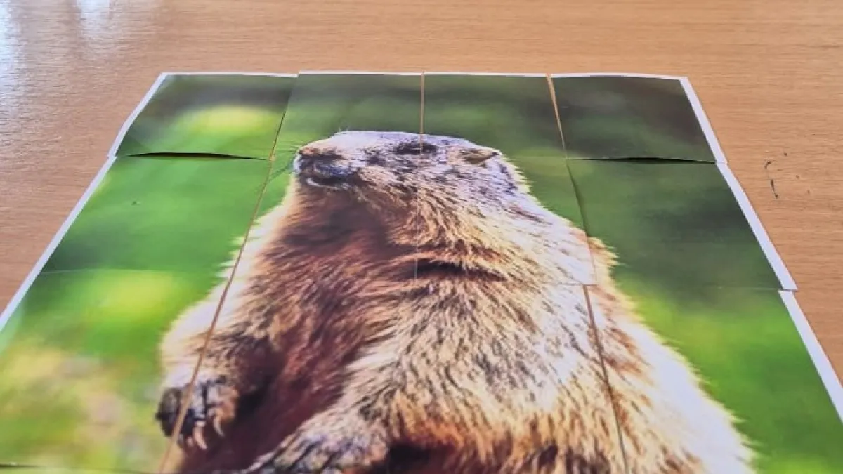 В Удмуртии стартовал проект по сохранению популяции байбака