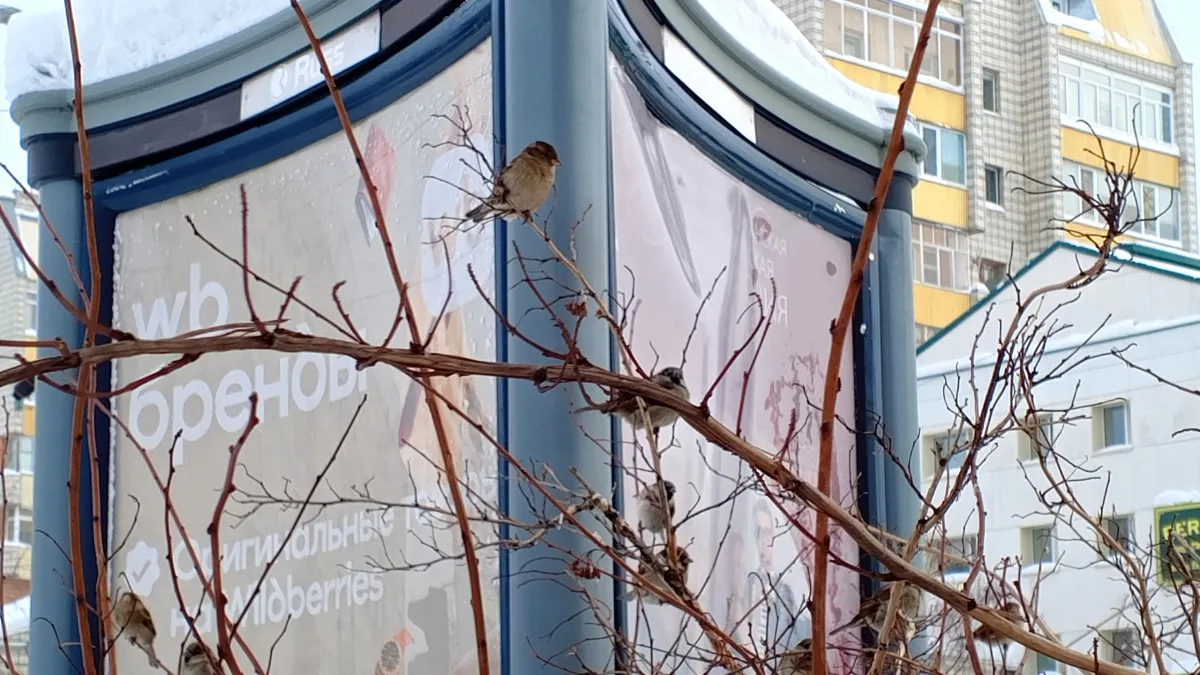 Погода в Удмуртии 16 марта: прогноз обещает потепление до +13°С и отсутствие осадков