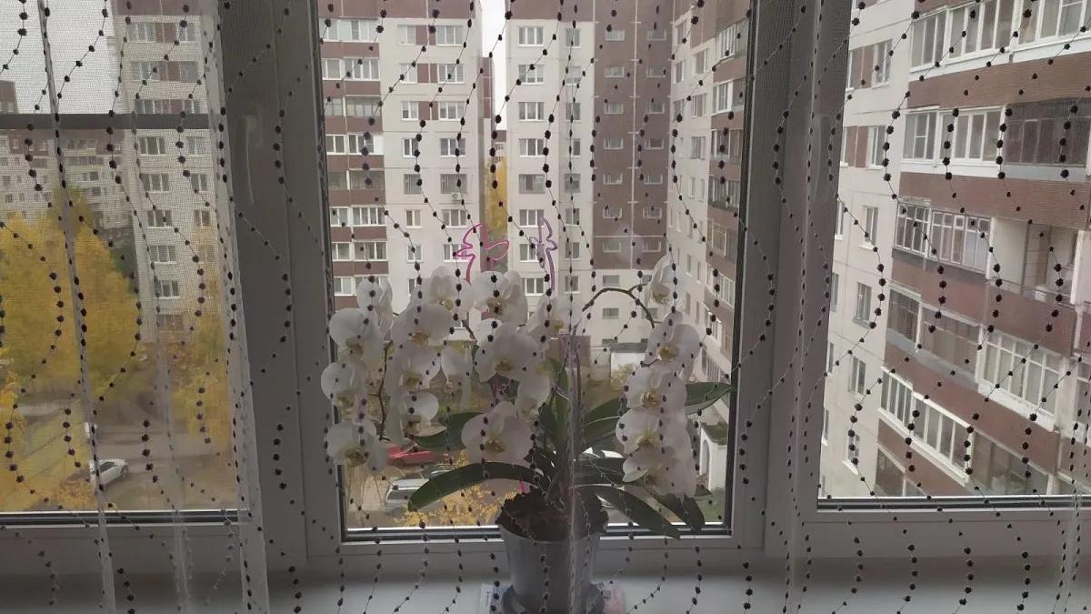 Такие шторы больше не в моде: старят интерьер на 20 лет - вот что выбирают современные дизайнеры