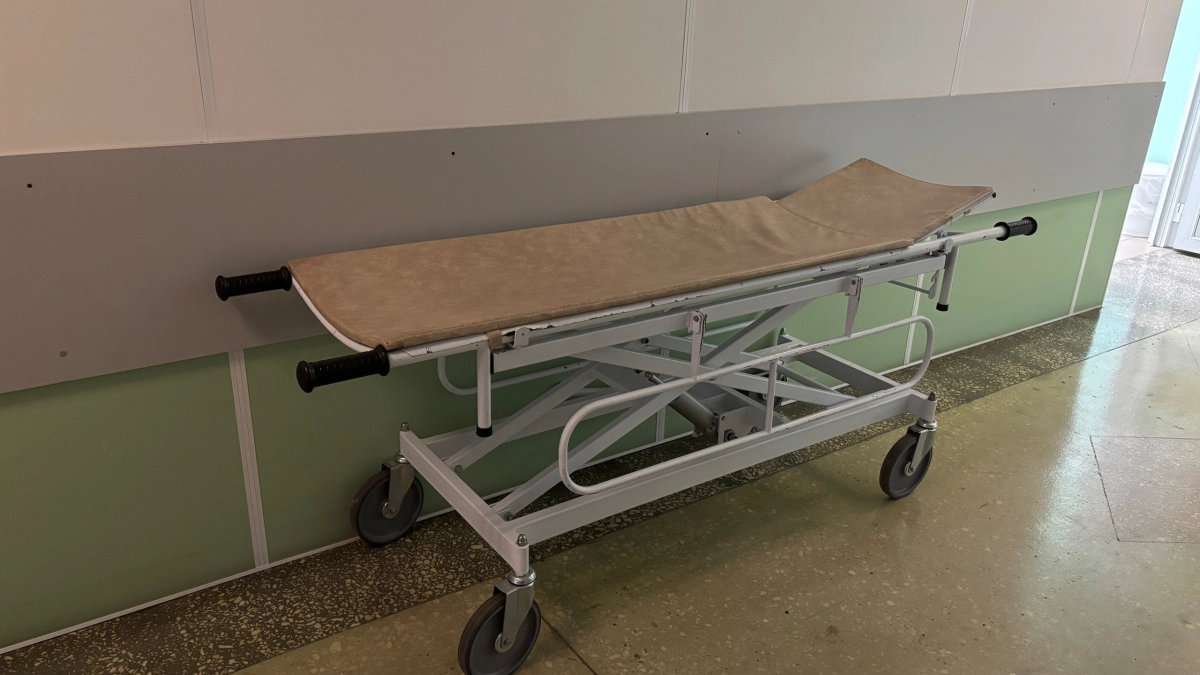 В Удмуртии зафиксировали резкий рост заболеваемости "мышиной лихорадкой"