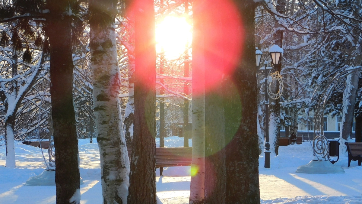 Погода в Удмуртии: 19 марта прогнозируют потепление до +12°С и туман