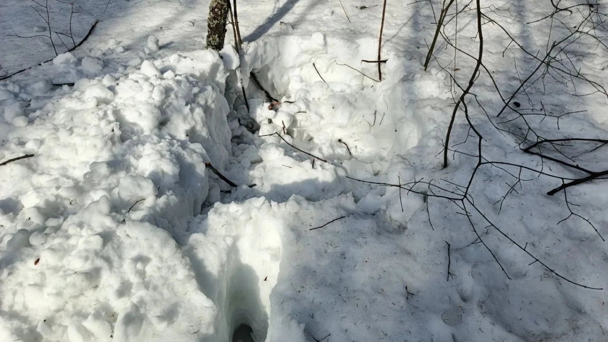 В Удмуртии волонтеры обнаружили тело пропавшего мужчины