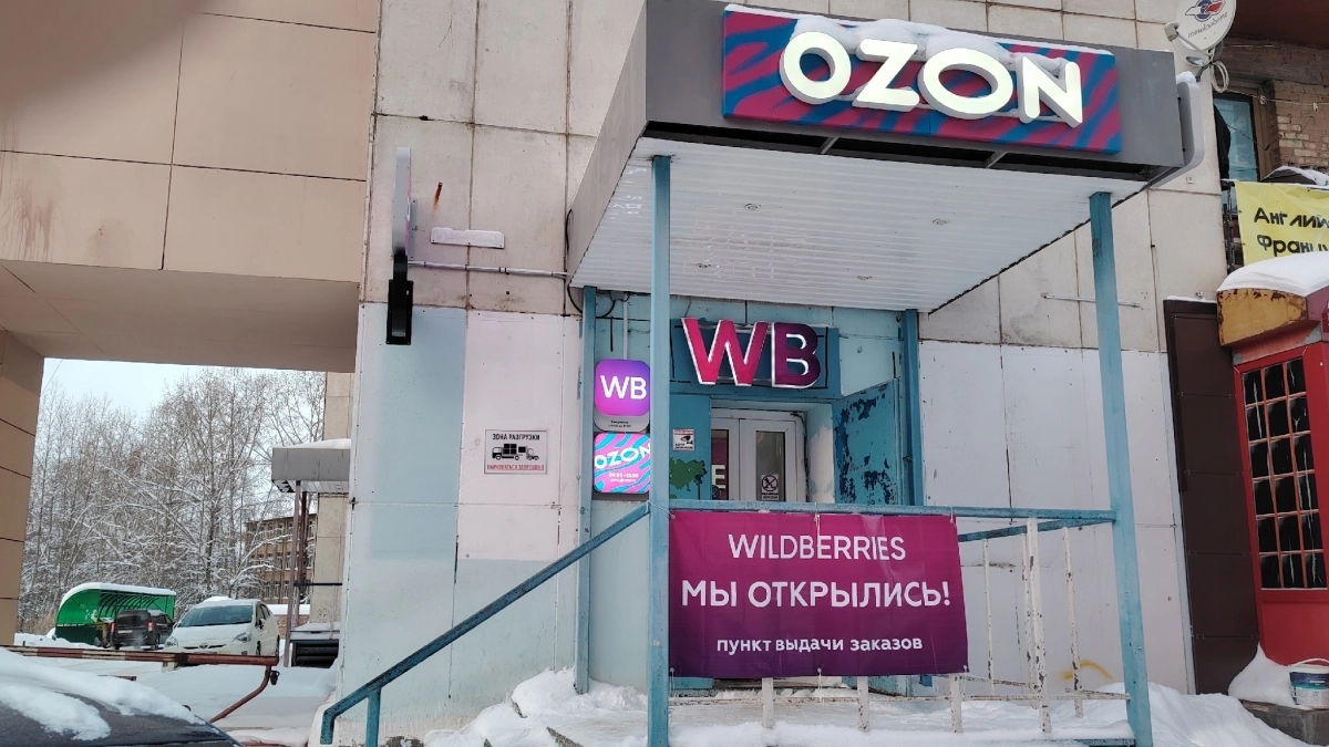 Заказал 5 растений с Wildberries. Ожидали все, что угодно - только не это: что пришло