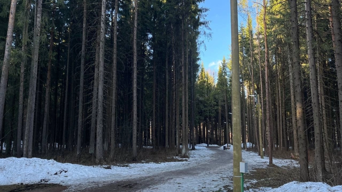 Антициклон принесет в Удмуртию аномальное тепло до +13°C: подробный прогноз погоды на 26 марта