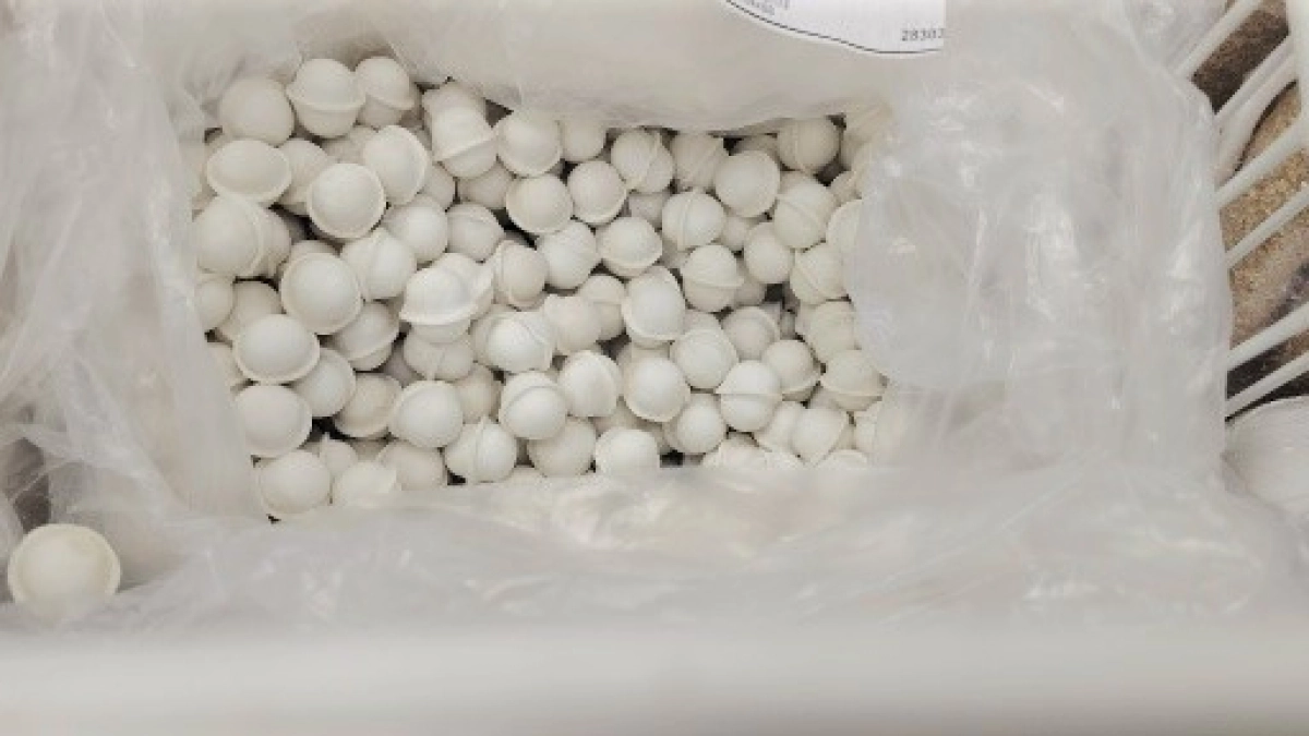 Роскачество назвало марки пельменей, в которых мясо действительно есть