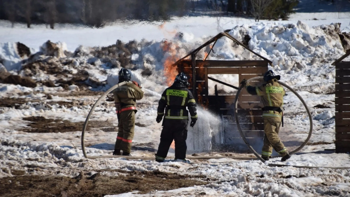 В Удмуртии прошли командно-штабные учения по тушению лесных пожаров