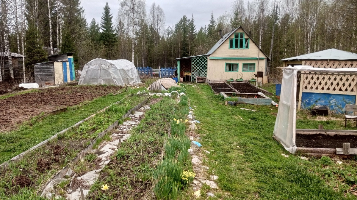 После схода снега покупаю 3 пачки соли — и не мучаюсь, как соседи: на участке благодать всю весну