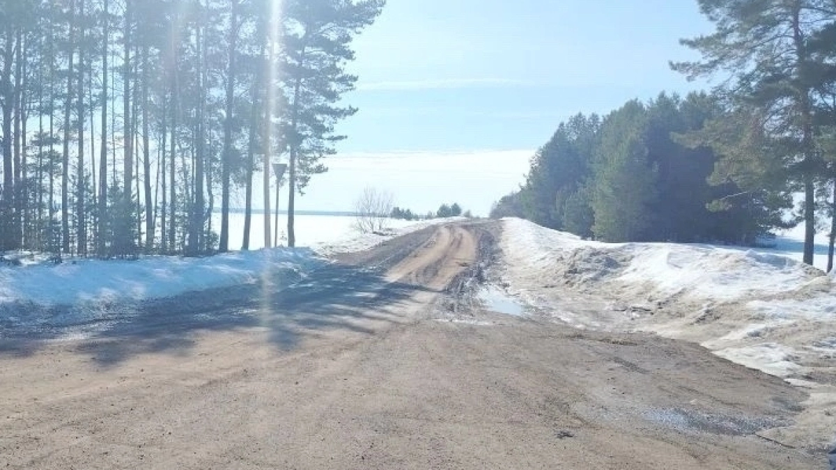 Жители Удмуртии добились восстановления дороги к 2 деревням