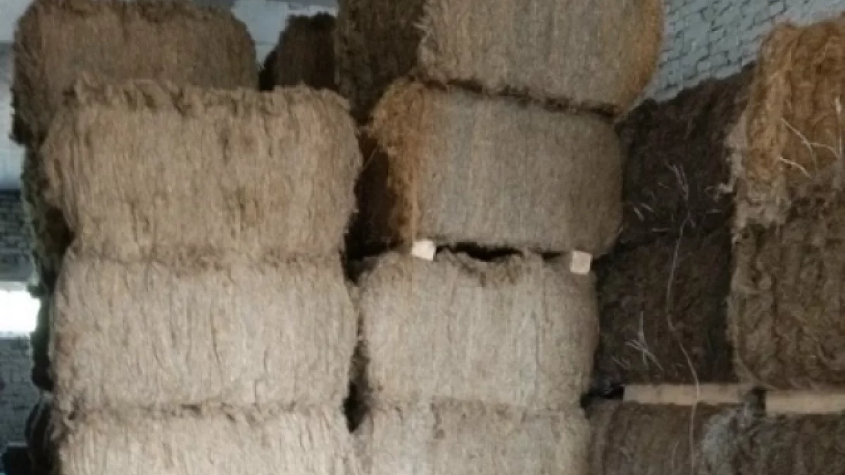 Удмуртия увеличила экспорт льняного сырья в Китай в пять раз