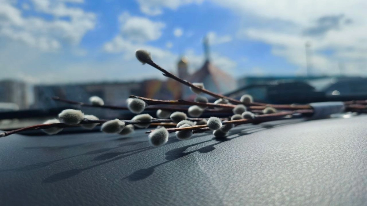 Вербное воскресенье покажет, каким будет лето и урожай — народные приметы