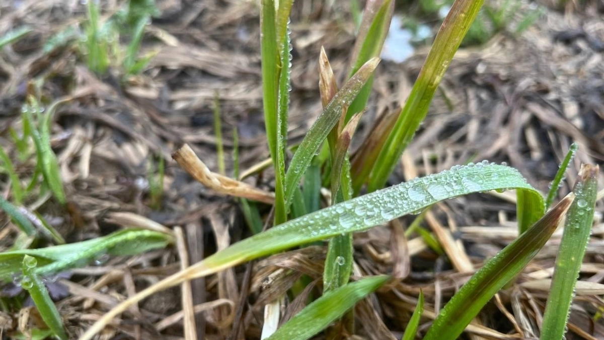 4 апреля в Удмуртии ожидается облачная и сырая суббота