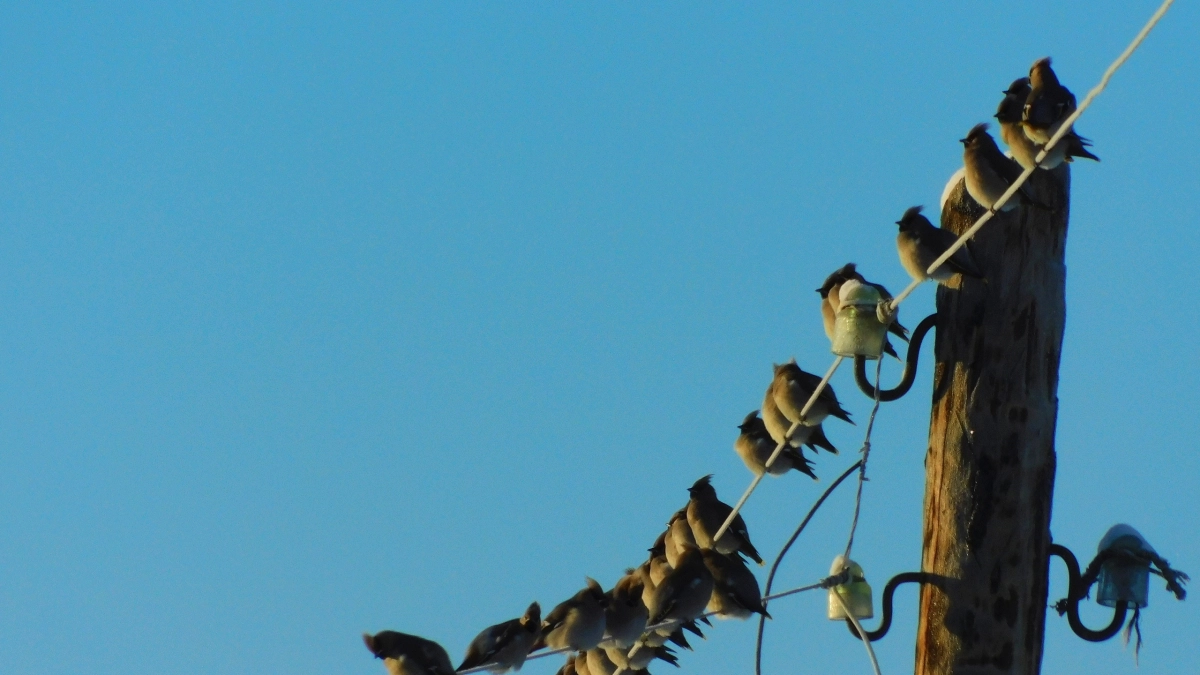 Погода в Удмуртии 6 апреля: прогноз обещает потепление до +14 градусов и отсутствие осадков