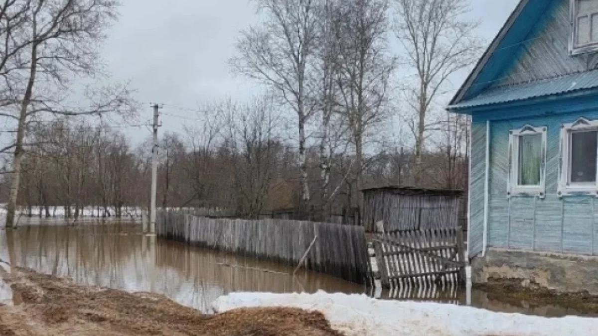 Паводок подтопил 150 дворов и инфраструктурные объекты в Удмуртии