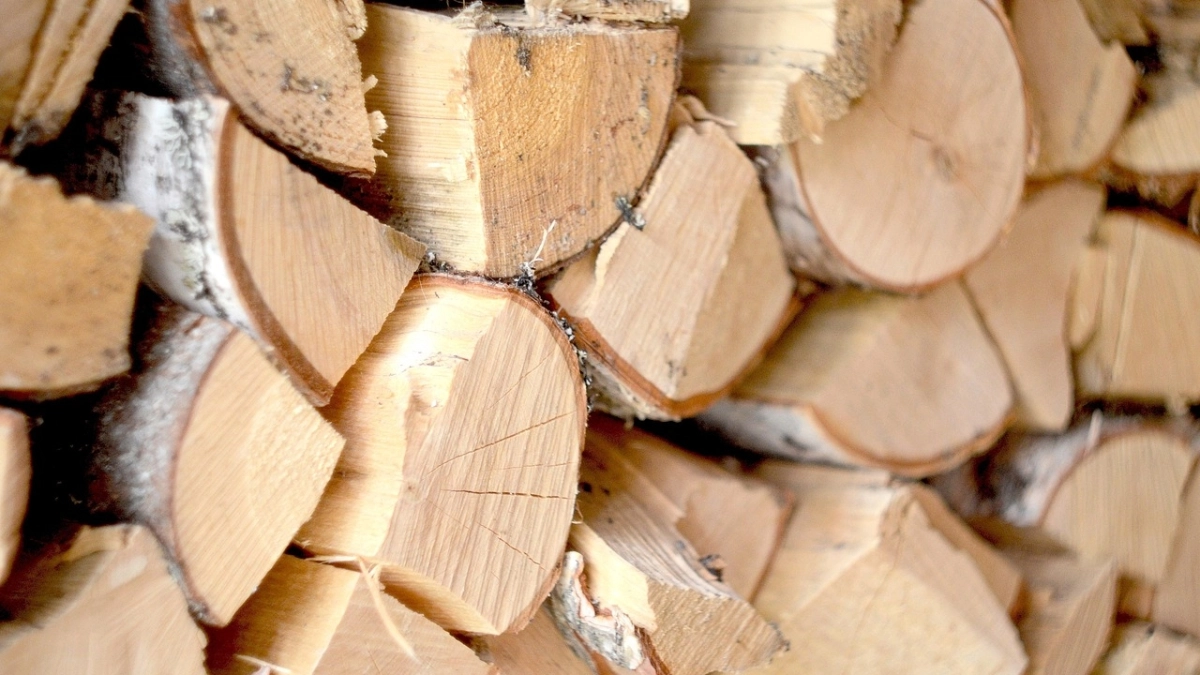 Россельхознадзор отправил первую партию пиломатериалов из Удмуртии в Южную Корею