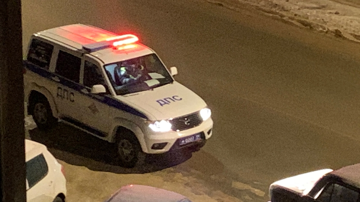 В Удмуртии пьяный водитель сломал палец одному полицейскому и укусил другого