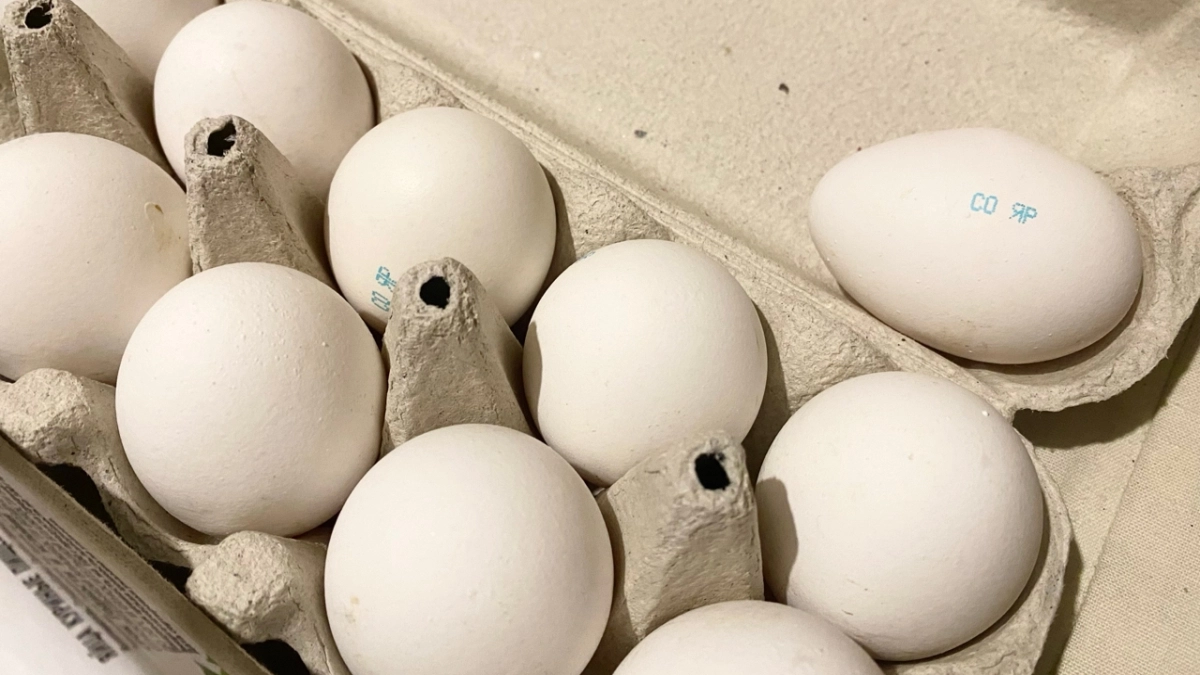 Купил в "Чижике" яйца за 79 рублей — только дома выяснил, какие они — рассказываю честно