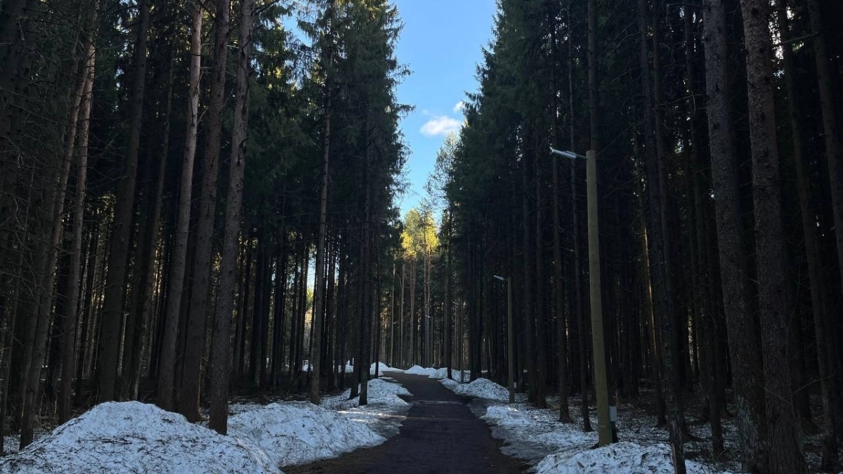 Гидрометцентр предупредил жителей Удмуртии о резком скачке температуры 14 апреля 