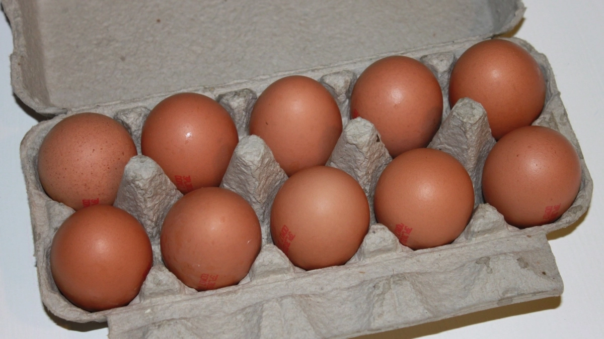 Эта привычка убивает пользу яиц. Что нельзя делать с яйцами и почему: запомните раз и на всю жизнь