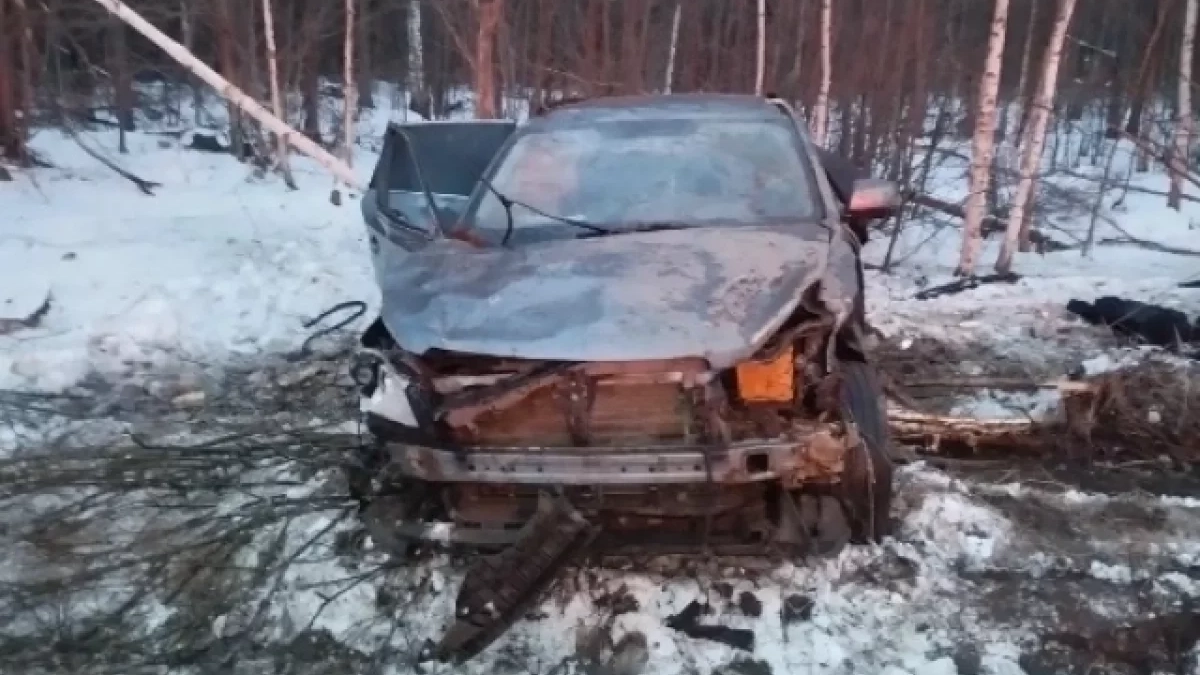 В Удмуртии пьяный водитель иномарки отправил друзей в больницу после жесткого переворота