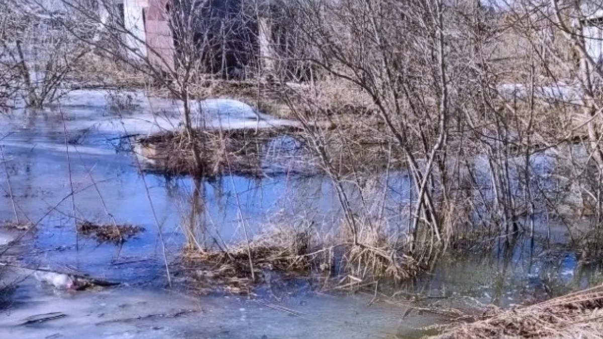 Удмуртия освобождается от воды: прогноз МЧС на ближайшие дни обнадеживает