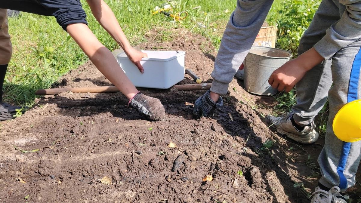 1 пачка соли на 5 литров кипятка – и сорняков не будет до середины лета: апрельский лайфхак за 3 копейки