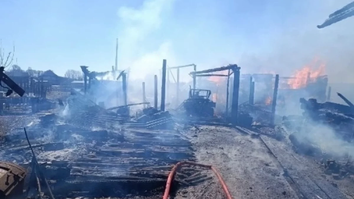 Обычное утро едва не стало последним для жителей Удмуртии: как короткое замыкание уничтожило целое подворье 